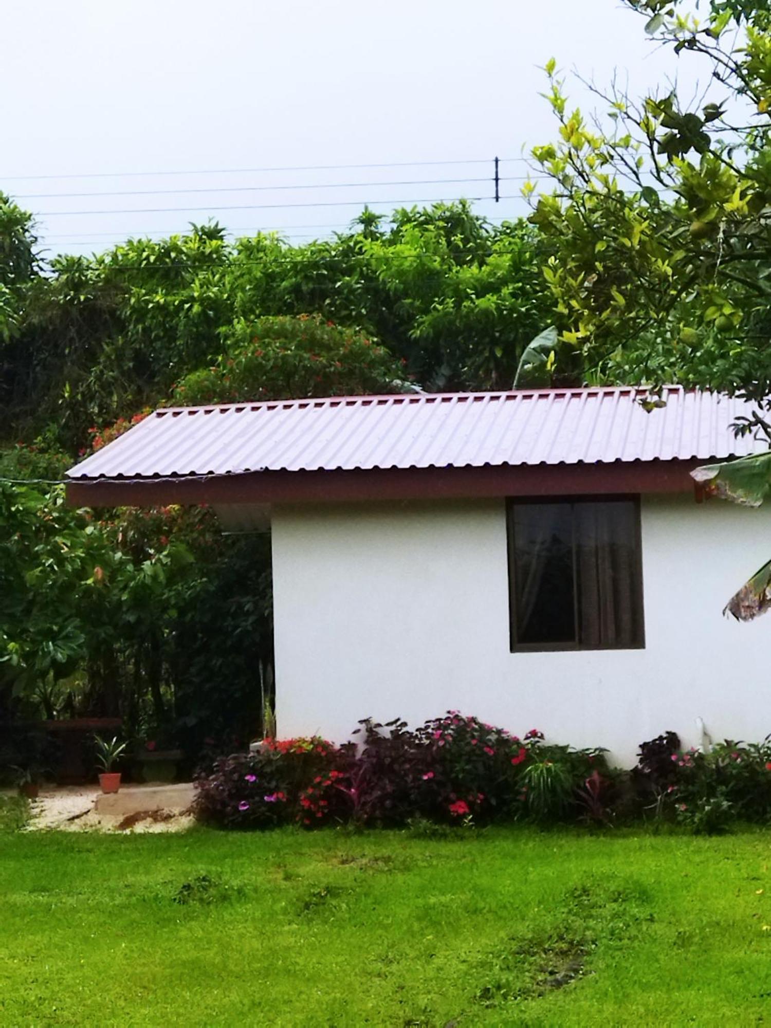 Bijagua paradise Río Celeste Habitación foto